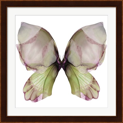 Framed Floral Butterfly 1 Print