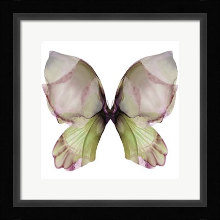 Framed Floral Butterfly 1 Print