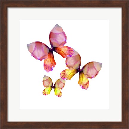 Framed Floral Butterfly Trio Print