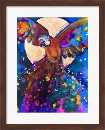 Framed Vibrant Parrot Print