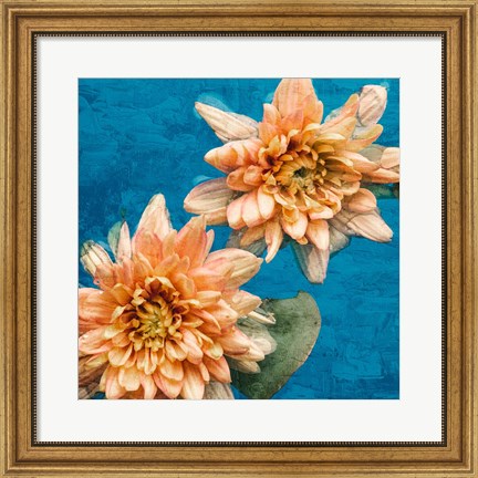 Framed Orange Chrysanthemums Print
