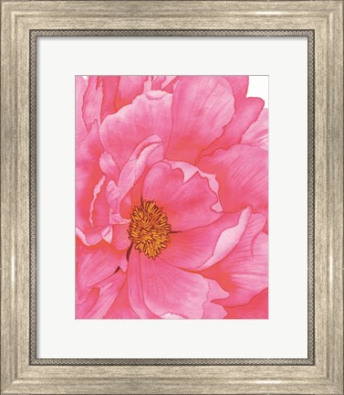 Framed Pink Flower 2 Print