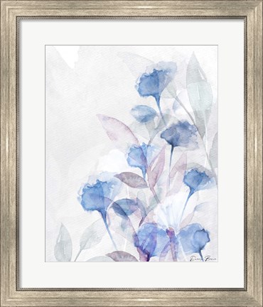 Framed Modern Poppies 2 Blue Print