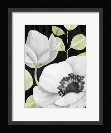 Framed Anemone On Black 2 Print