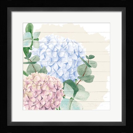 Framed Hydrangea 1 Print