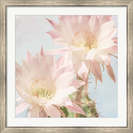 Framed Cactus Bloom Print