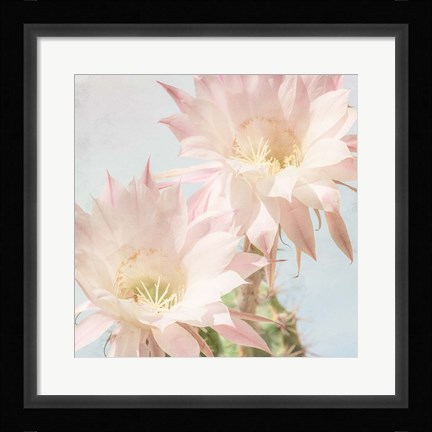 Framed Cactus Bloom Print