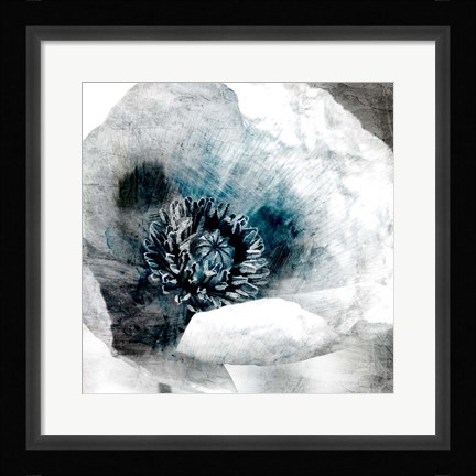 Framed Poppy Center Print