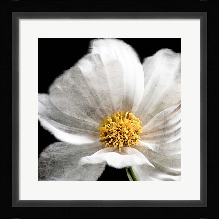 Framed Yellow Center Print