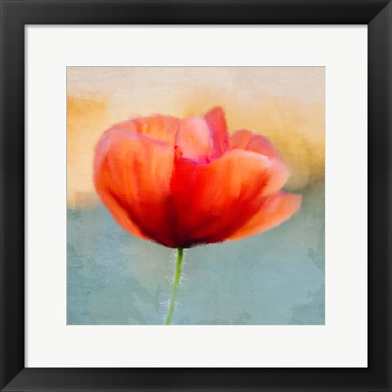 Framed Poppy Sunrise Print