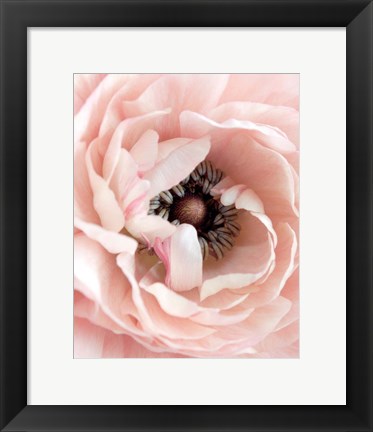 Framed Pretty in Pink Floral Print