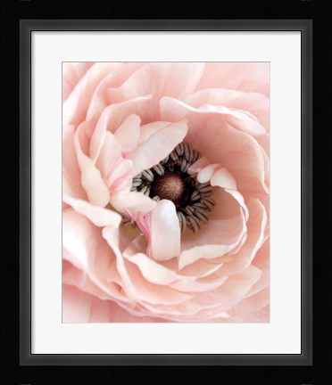 Framed Pretty in Pink Floral Print