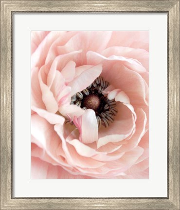 Framed Pretty in Pink Floral Print