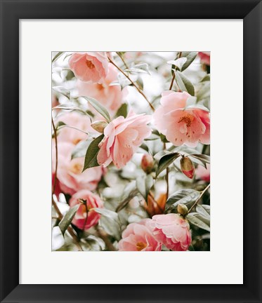 Framed Moody Pink FLorals Print