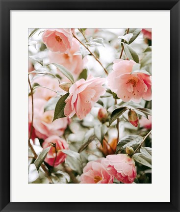 Framed Moody Pink FLorals Print