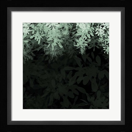 Framed Dark Tropical I Print