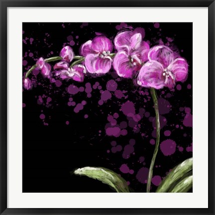 Framed Fuschia Orchid Print