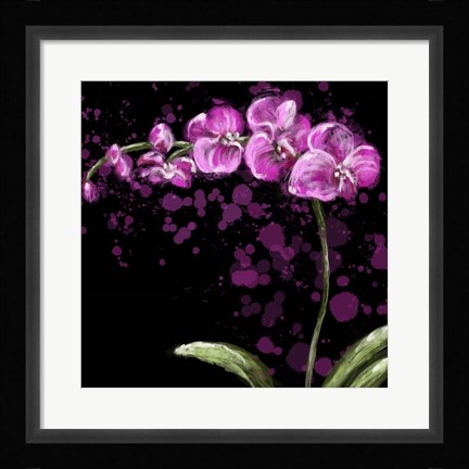 Framed Fuschia Orchid Print