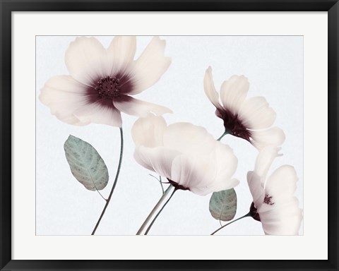 Framed Blooming Youth 1 Print