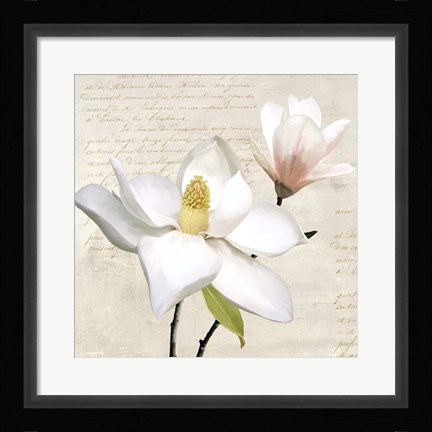 Framed Ivory Magnolia I Print