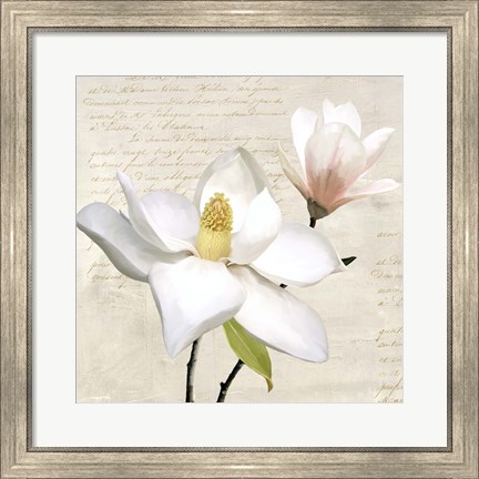 Framed Ivory Magnolia I Print