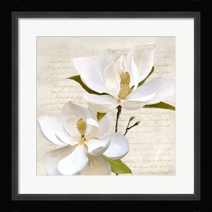 Framed Ivory Magnolia II Print