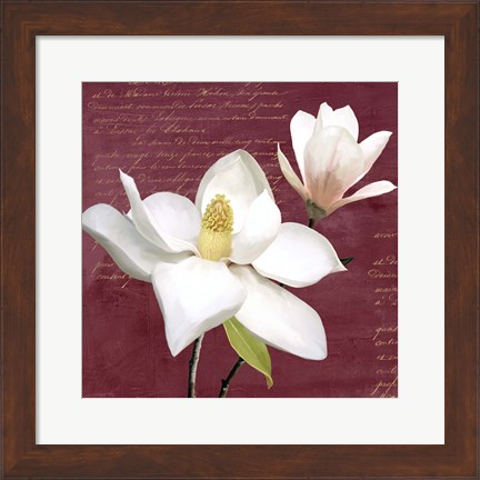 Framed Burgundy Magnolia I Print