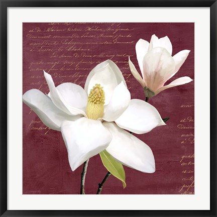 Framed Burgundy Magnolia I Print