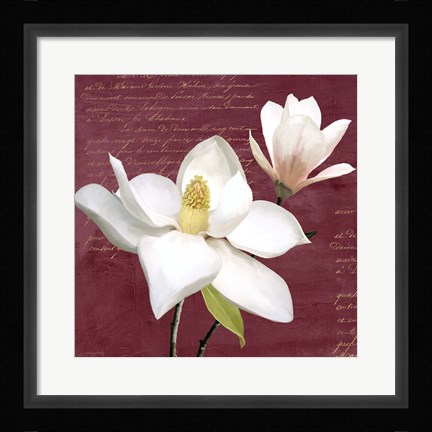 Framed Burgundy Magnolia I Print