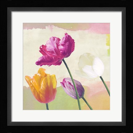 Framed Florilegium I (detail) Print