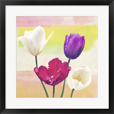 Framed Florilegium II (detail) Print