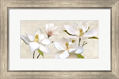 Framed Ivory Magnolia Print