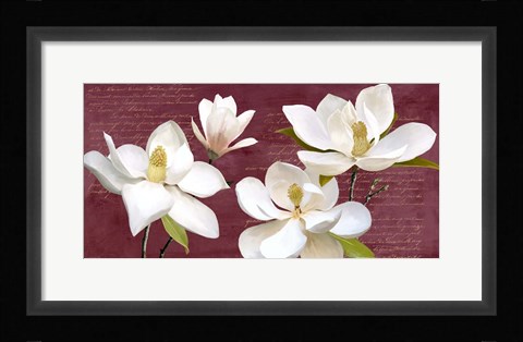 Framed Burgundy Magnolia Print