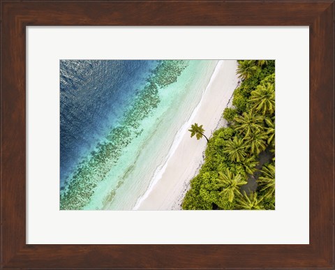 Framed Tropical Beach, Aerial View Print