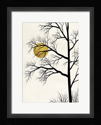 Framed Golden Sunset Print