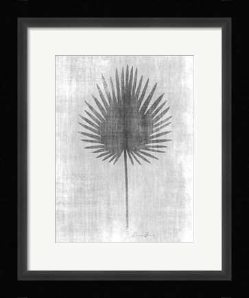 Framed Tone on Tone Palm 3 Print