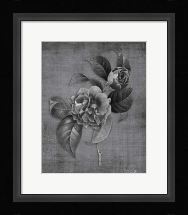 Framed Tranquil Botanical 21 Print