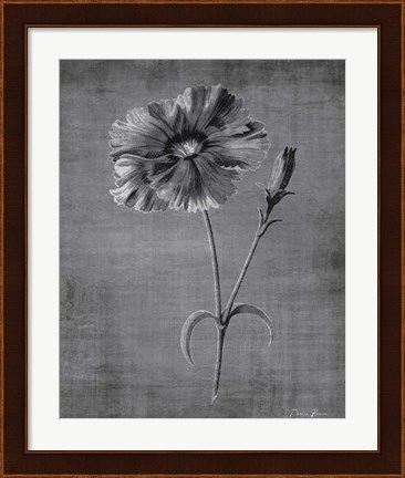 Framed Tranquil Botanical 31 Print
