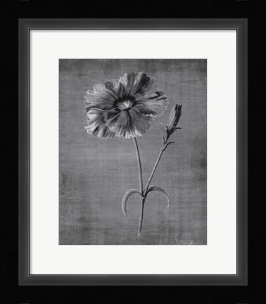 Framed Tranquil Botanical 31 Print