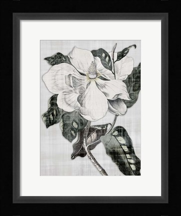Framed Southern Magnolia 1 Print