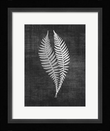 Framed Astor Fern 2 Print