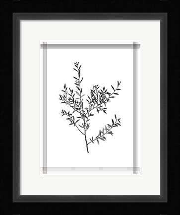 Framed Pressed 3 Print