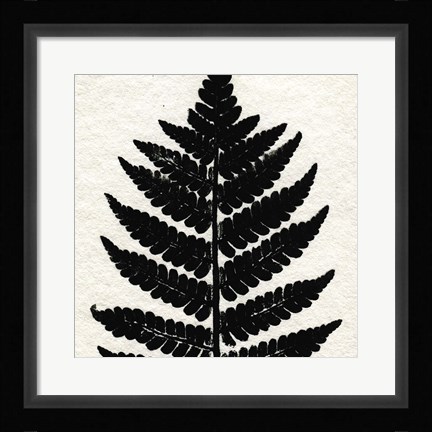 Framed Pressed Fern 2 Print