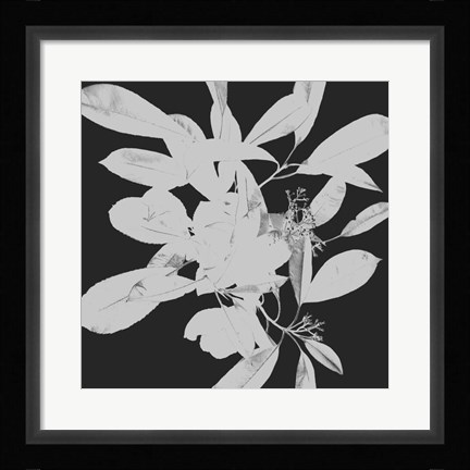 Framed Botanical Dark 1 Print