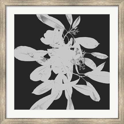 Framed Botanical Dark 2 Print