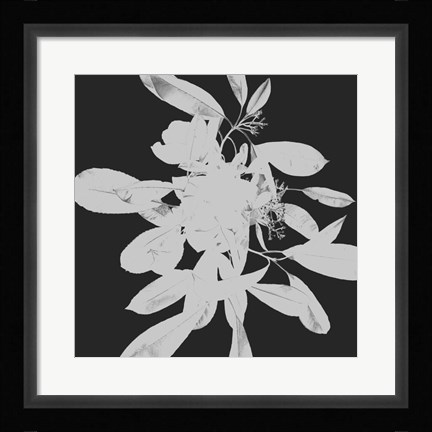 Framed Botanical Dark 2 Print