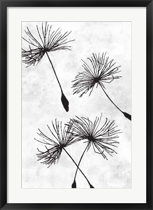 Framed Dandelion Flight 1 Print