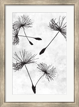 Framed Dandelion Flight 2 Print