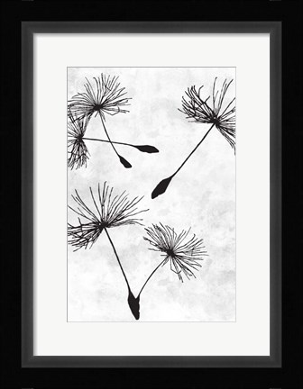 Framed Dandelion Flight 2 Print