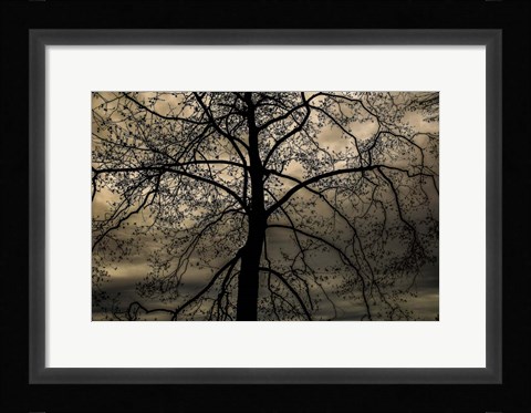 Framed Conversation Of Earth Print